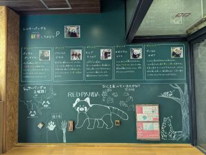 動物園11