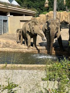 動物園22