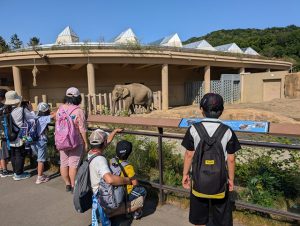 動物園3