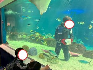 水族館10