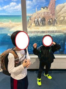 水族館13