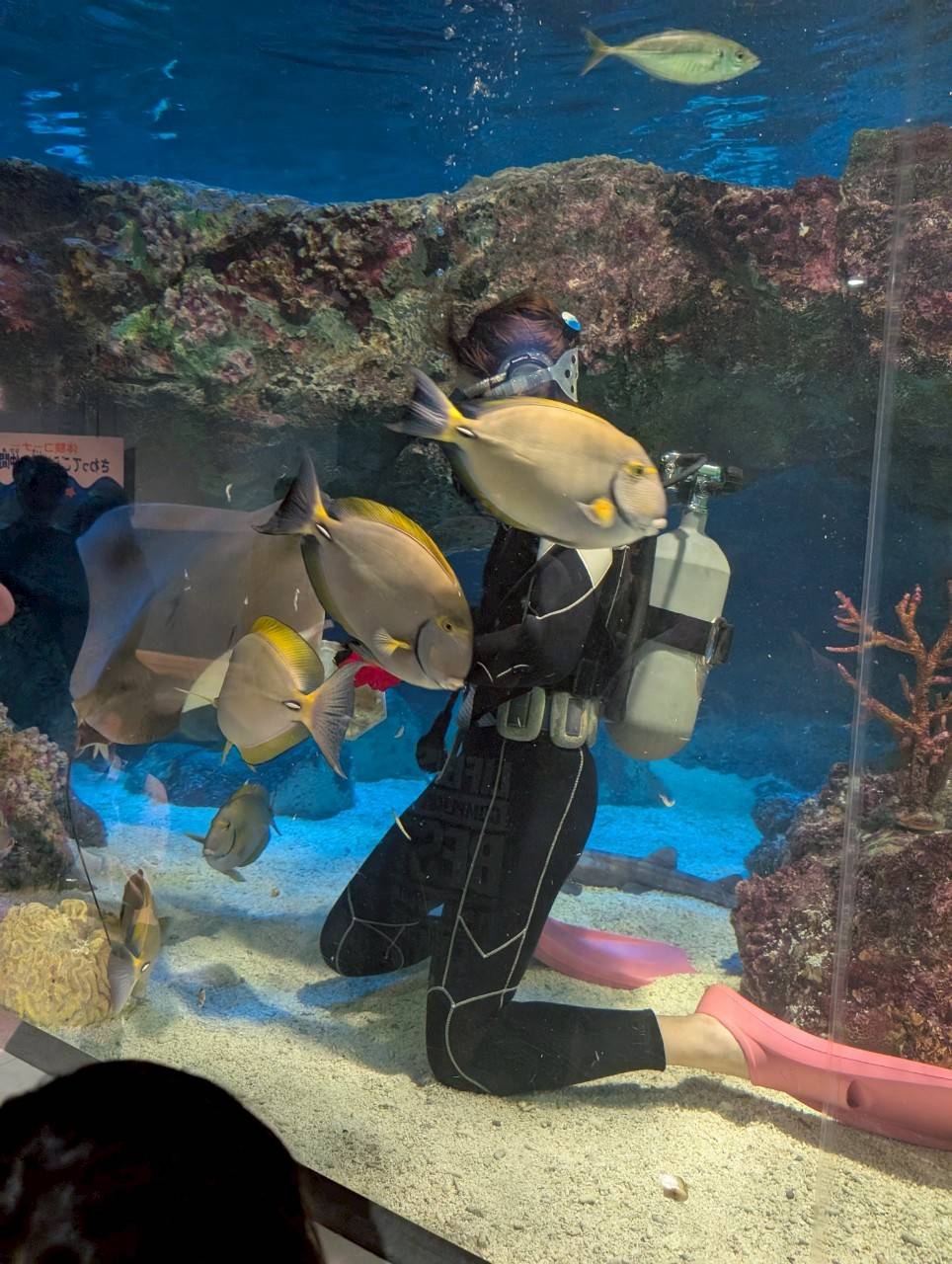 水族館15