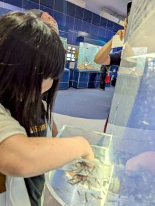 水族館16