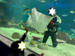 水族館2