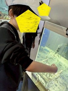 水族館20