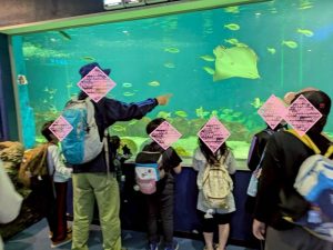 水族館21