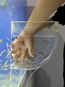 水族館22