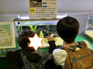 水族館3