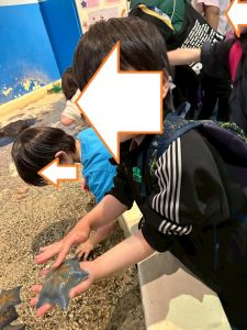 水族館4