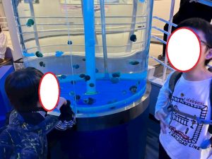 水族館9