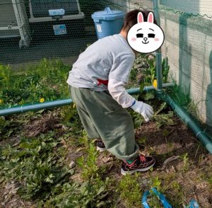 畑ブログ４