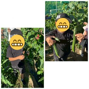 菜園1