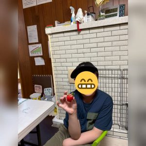 菜園13