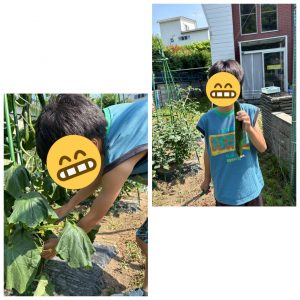 菜園16