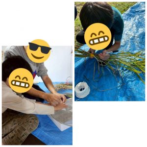菜園1