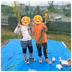 菜園20