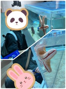 LINE_ALBUM_2026.3月レク_260410_10