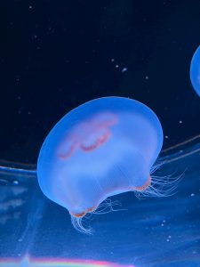 LINE_ALBUM_2026.3月レク_260410_122