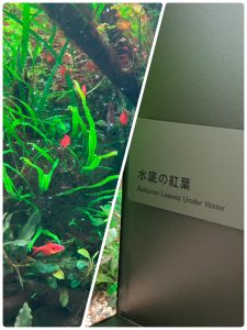 LINE_ALBUM_2026.3月レク_260410_19