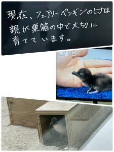 LINE_ALBUM_2026.3月レク_260410_22