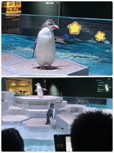 LINE_ALBUM_2026.3月レク_260410_5