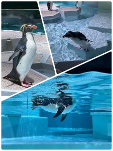 LINE_ALBUM_2026.3月レク_260410_6