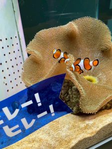 LINE_ALBUM_2026.3月レク_260410_8