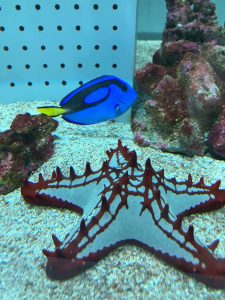 LINE_ALBUM_2026.3月レク_260410_9