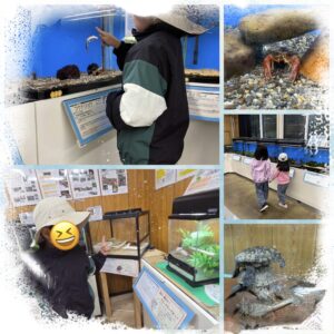 created by InCollage